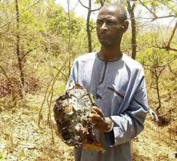 See Face of Suspected Ritualist Caught With Human Head in Bauchi (Photo)